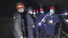 维基体育(集团)体育运动有限公司官网