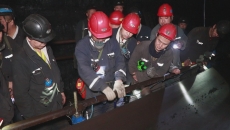 维基体育(集团)体育运动有限公司官网