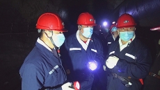 维基体育(集团)体育运动有限公司官网