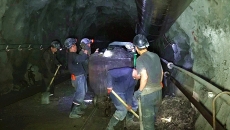 维基体育(集团)体育运动有限公司官网