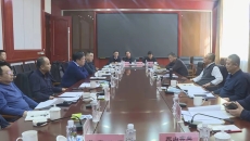 维基体育(集团)体育运动有限公司官网