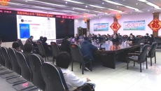 维基体育(集团)体育运动有限公司官网