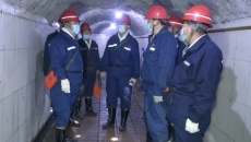 维基体育(集团)体育运动有限公司官网