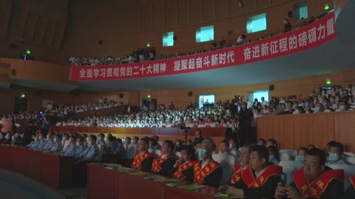 d49187556a125ae1c67011407e8c154