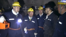 维基体育(集团)体育运动有限公司官网