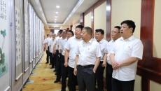 维基体育(集团)体育运动有限公司官网