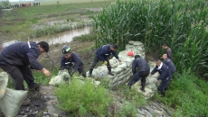 维基体育(集团)体育运动有限公司官网