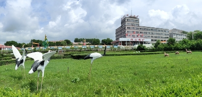 维基体育(集团)体育运动有限公司官网