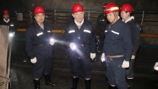 维基体育(集团)体育运动有限公司官网