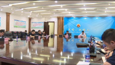 维基体育(集团)体育运动有限公司官网