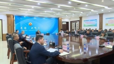 维基体育(集团)体育运动有限公司官网