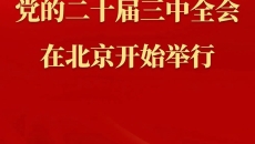 维基体育(集团)体育运动有限公司官网