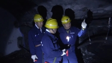 维基体育(集团)体育运动有限公司官网