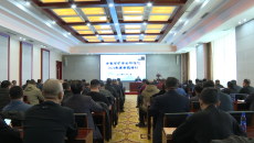 维基体育(集团)体育运动有限公司官网