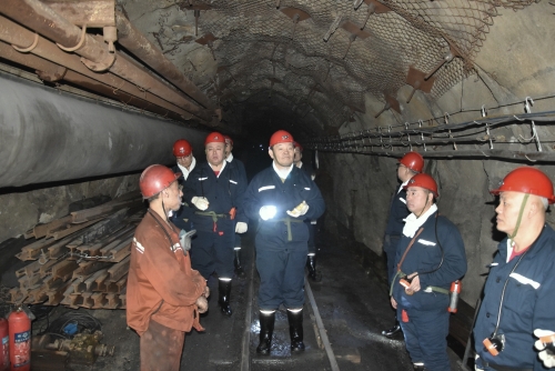 维基体育(集团)体育运动有限公司官网