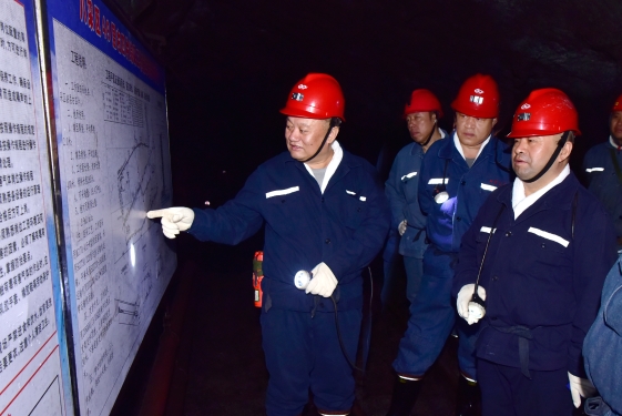 维基体育(集团)体育运动有限公司官网