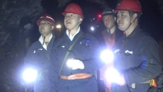 维基体育(集团)体育运动有限公司官网