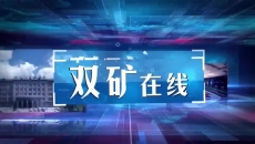 维基体育(集团)体育运动有限公司官网
