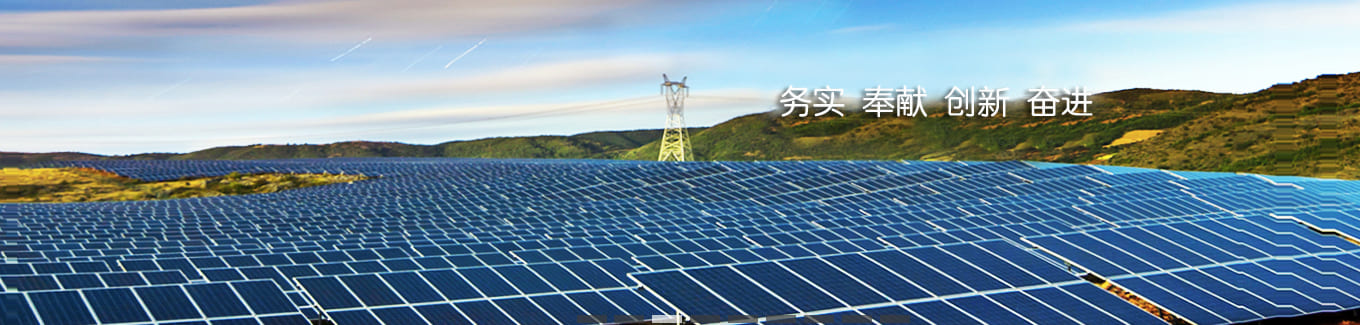 维基体育(集团)体育运动有限公司官网